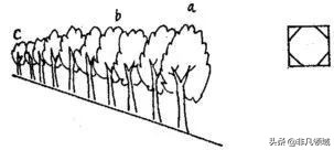 达芬奇画了两幅蒙娜丽莎,达芬奇画了几幅画