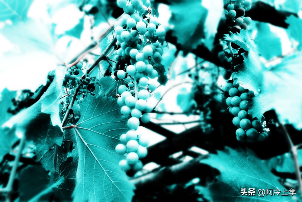 读音改来改去有意思吗,最新更改的读音