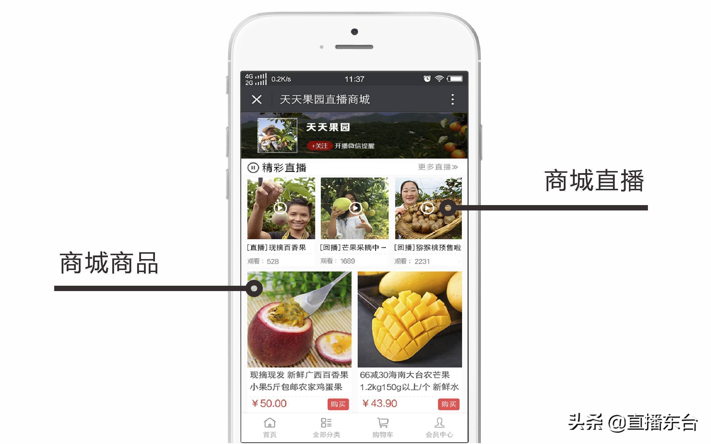 东台电视台在线直播,东台电视频道直播