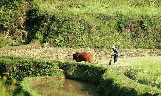 韩国人均gdp高为什么生活水平不高,韩国为什么人均可支配收入高