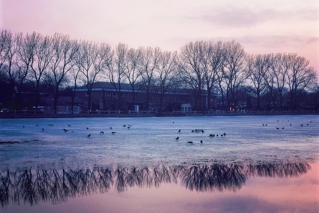 西安有几个钟鼓楼,陕西有个钟鼓楼