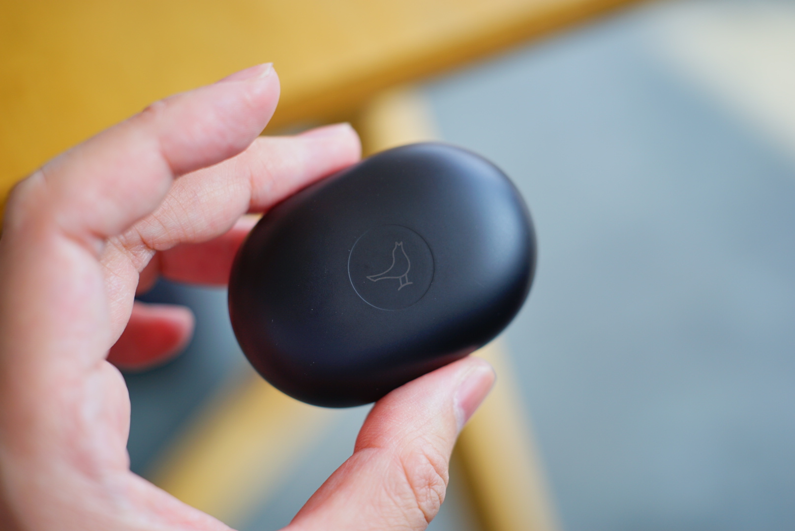 灏忛笩钃濈墮闊崇bird,灏忛笩trackair+璇勬祴