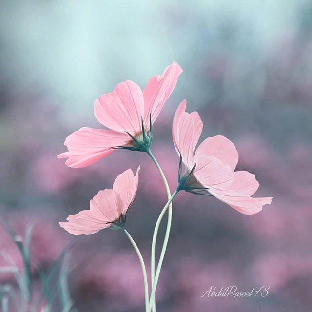 100句鼓舞人心的经典励志名言语句,十句激励人心的人生格言