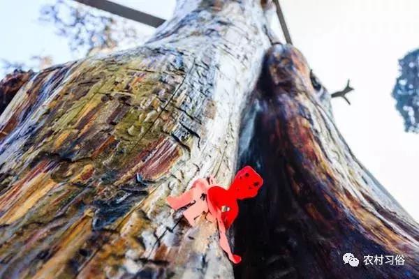 农村一定要遵守风俗习惯,农村人的习惯和禁忌