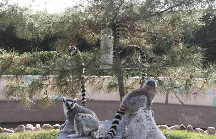 潍坊金宝乐园好去处,潍坊金宝乐园里面都是有啥