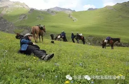 玛纳斯探奇之旅,新疆探秘伊犁