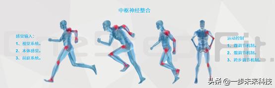 足球黑科技定制鞋垫,生物力学鞋垫价格