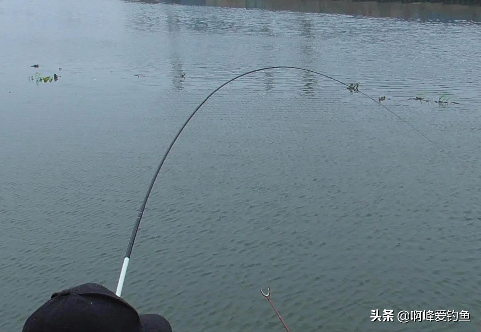 钓草鱼方法用什么饵料野钓,钓草鱼绝佳配方