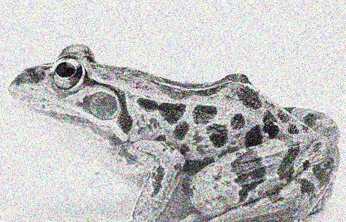 HIFI科普|底噪堪比*霜砒**,可能摧毁你的心情与健康