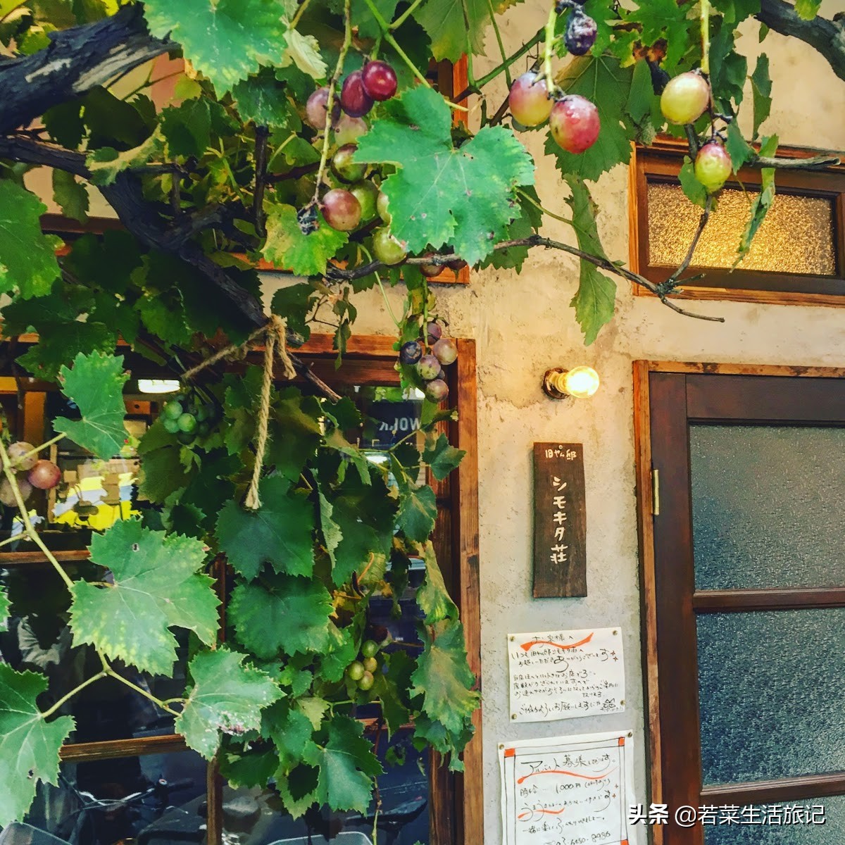 好吃的咖喱店东京,东京哪家咖喱最正宗