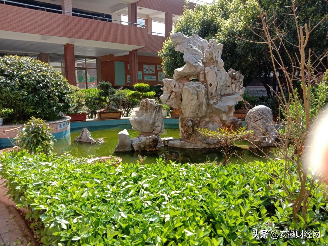 花都开好了现场完整版,花都开好了合唱合拍