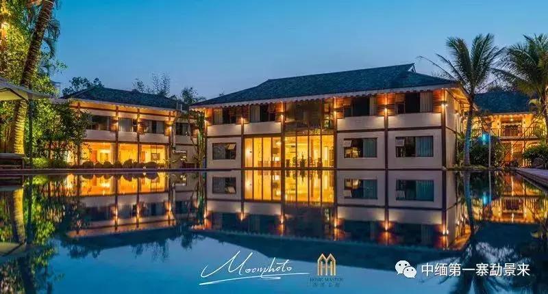 泰国顶级睡莲博士Dr.Nopchai版纳行,被勐景来圈粉