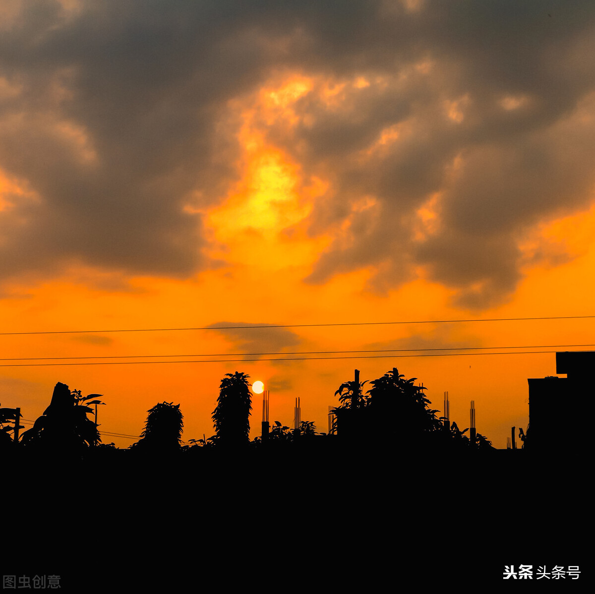 大学新生活给你的感受,大学生对现在生活的感受