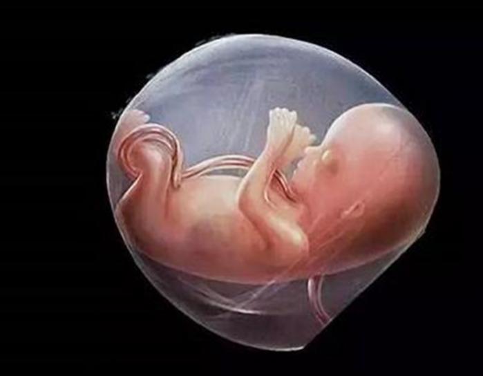 胎内记忆真的假的,令人细思极恐的胎内记忆