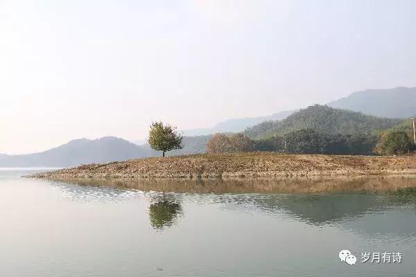 马景良:不念过往,奔诗和远方