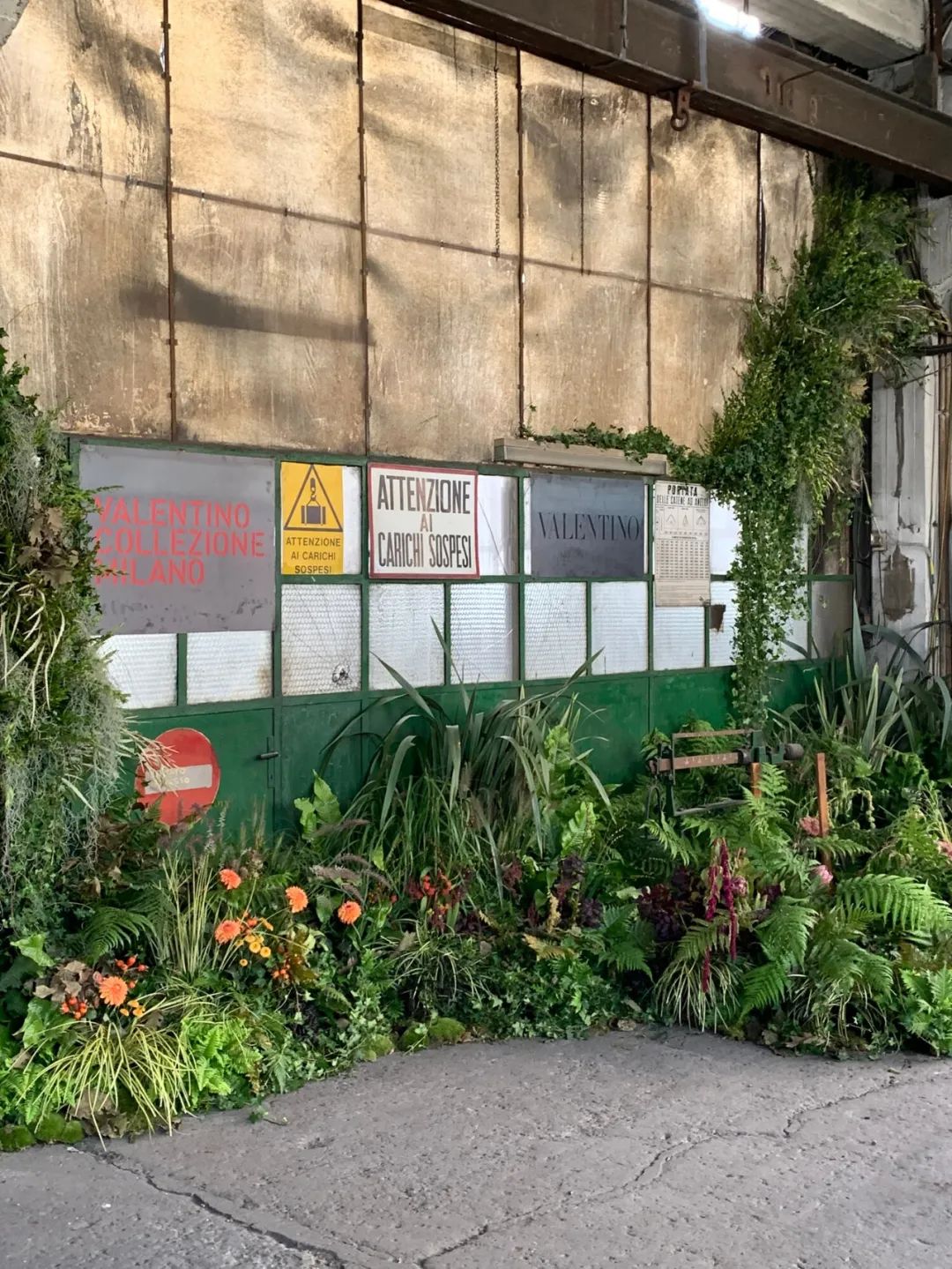 金盆洗手吧，植物杀手们