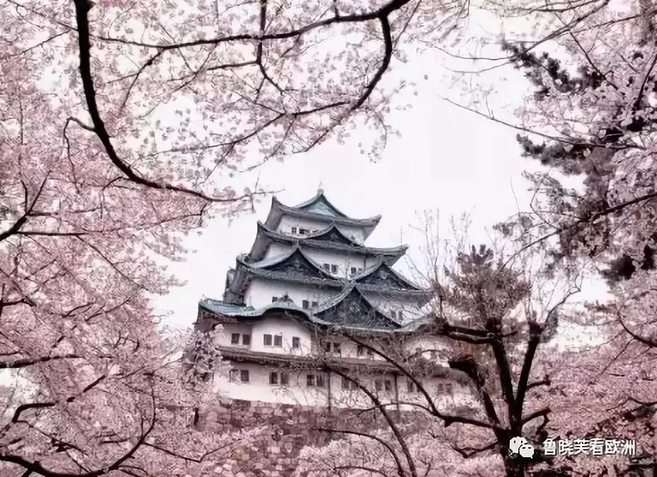 日本名古屋在哪个位置,日本名古屋旅游详细攻略