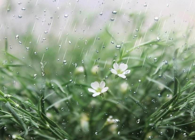 璧忔瀽鏁ｆ枃鍚洦,鍚洦鏁ｆ枃鍝茬悊