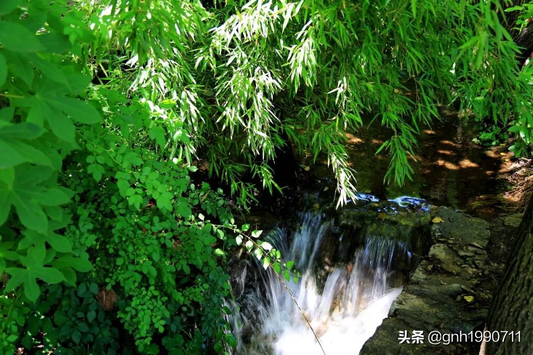 济南南部山区红叶谷几月去好,济南红叶谷旅游攻略视频