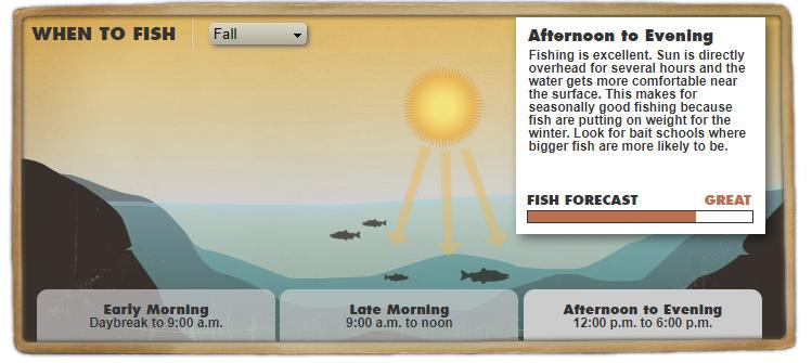 发钓鱼视频的最佳时间,什么时间钓鱼是最佳时间