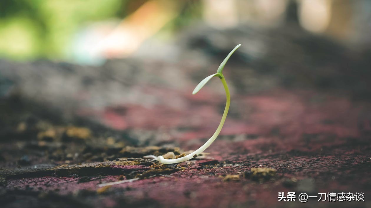 9个调节情绪的方法让你告别浮躁,沉不下心来如何化解浮躁的情绪