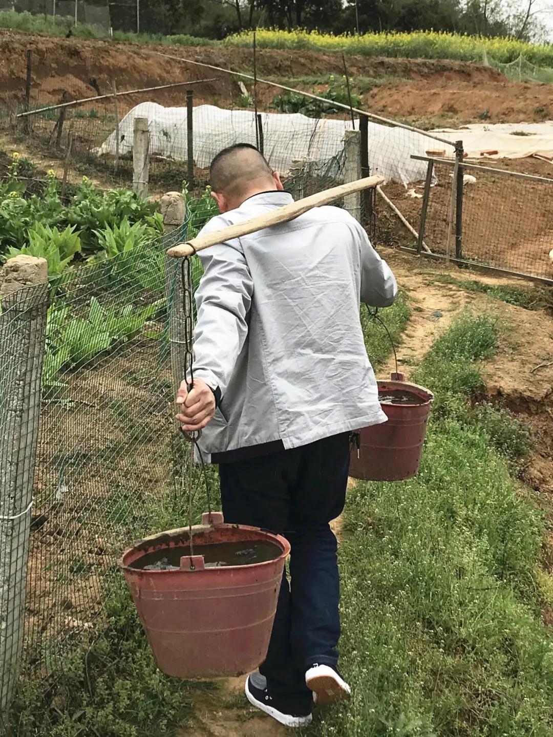 转身还能留下什么,转身之后留下背影