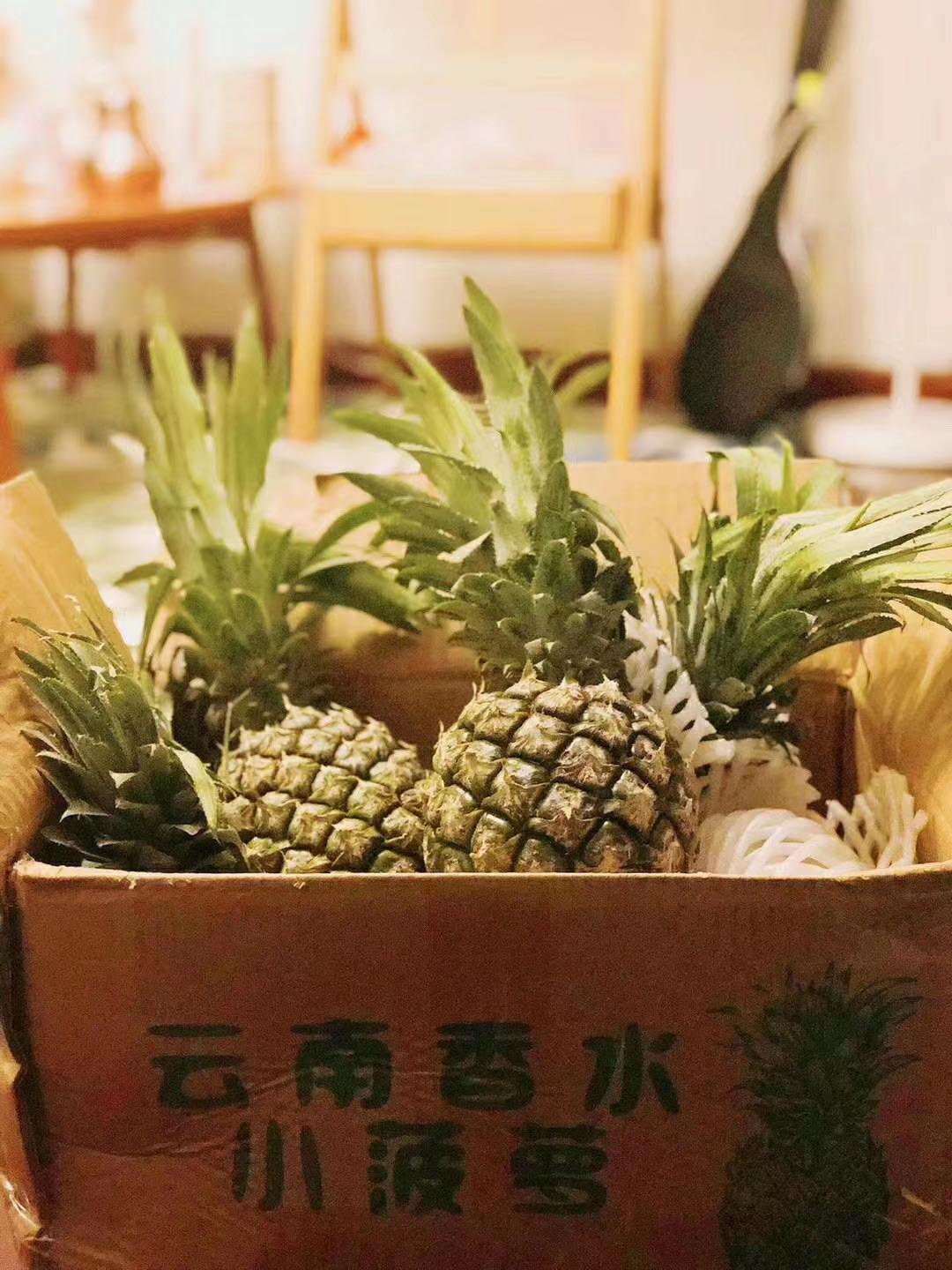 菠萝和香水菠萝什么区别,香水菠萝和凤梨是一回事不