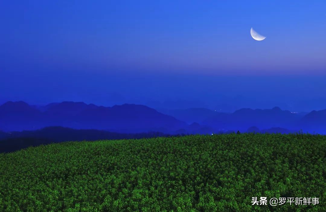 云南昆明罗平大水井风水宝地,罗平大水井景区