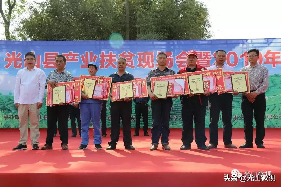 光山斗茶大赛完整版,信阳斗茶大赛获奖