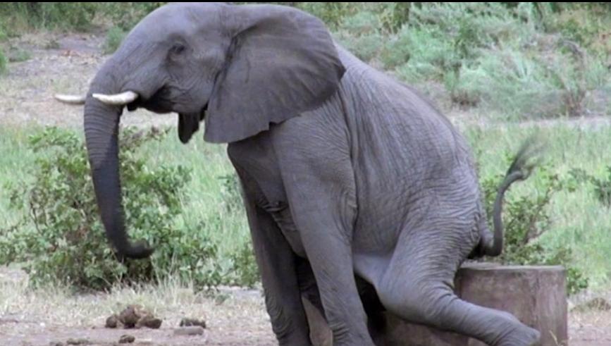 人造子宫实现让人类复活,人类能接受人造子宫吗