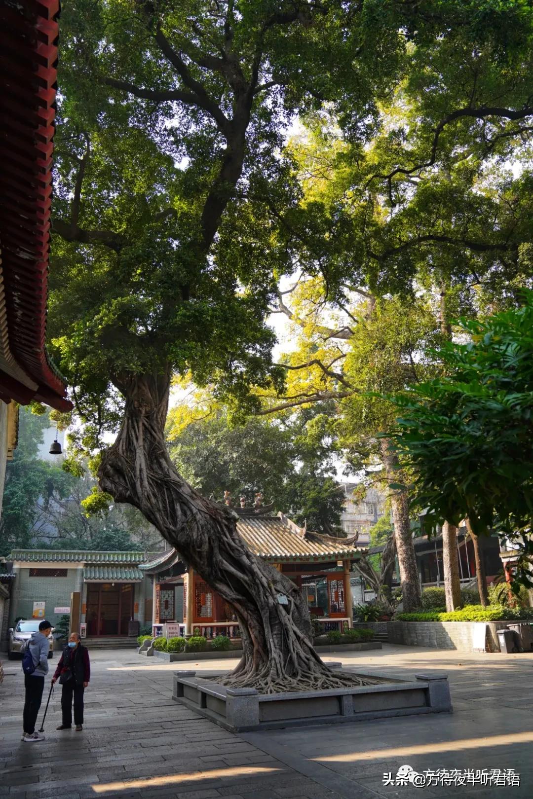 广州六榕寺花塔地宫,广州六榕寺花塔
