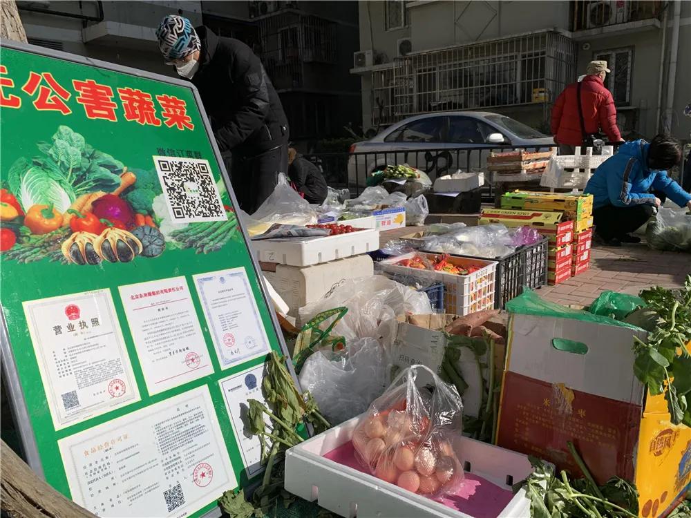 北新桥街道：奋进追梦新时代，不负韶华再出发