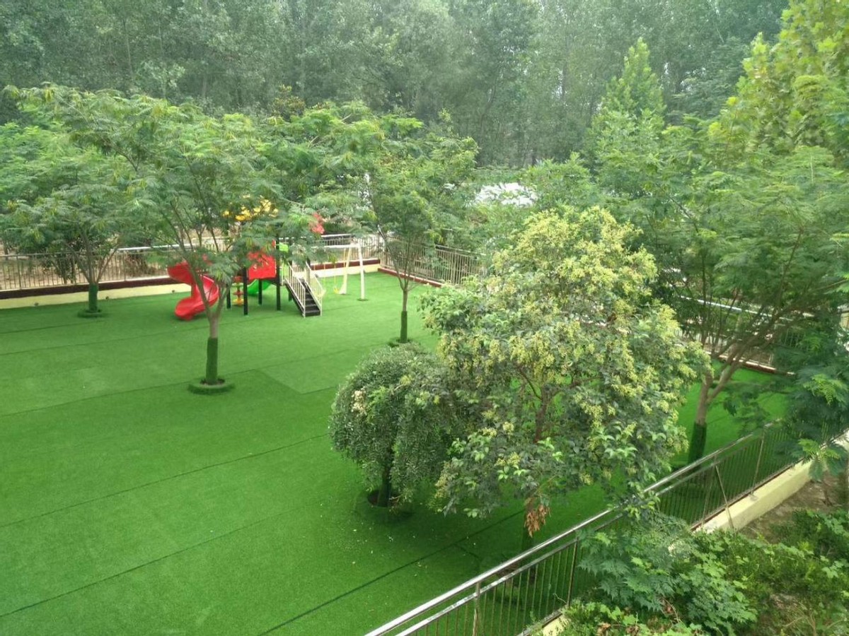 80后“白发校长”张鹏程：为了学生，不要“家”了