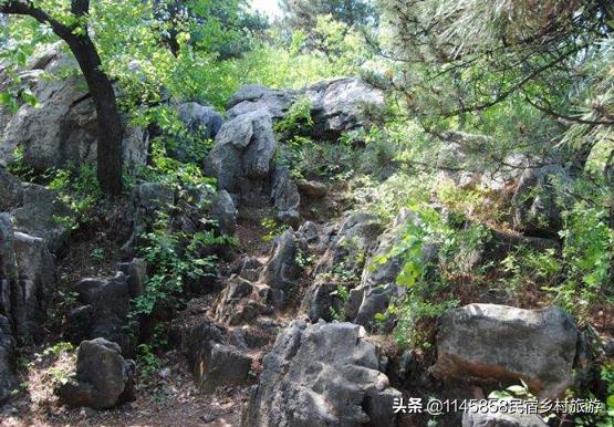 蓟县毛家峪最好的民宿,毛家峪山水雅居农家院