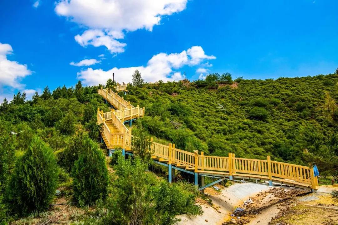 张家口最近特火的地方,张家口这个季节好玩的地方