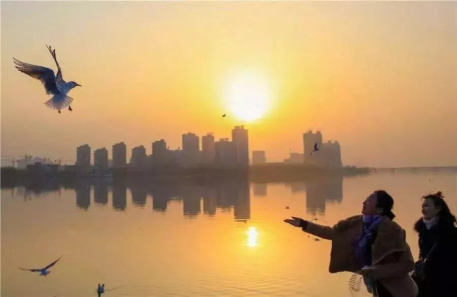 汉台半日游,汉台区一日游