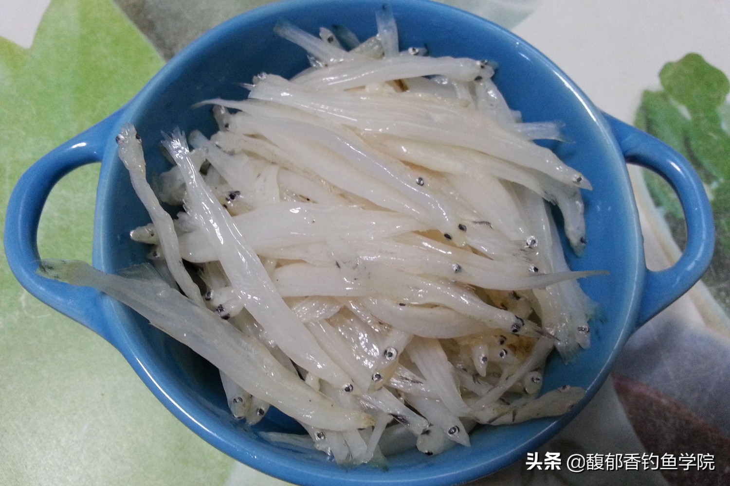 中国贡鱼,五大贡鱼有哪些