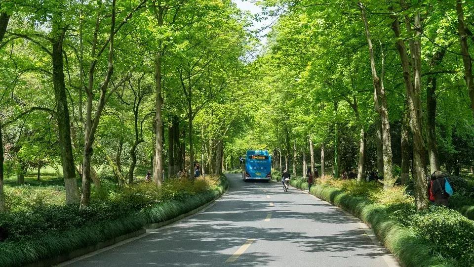 乐山大佛为何不属于石窟,乐山不止有大佛还有美食