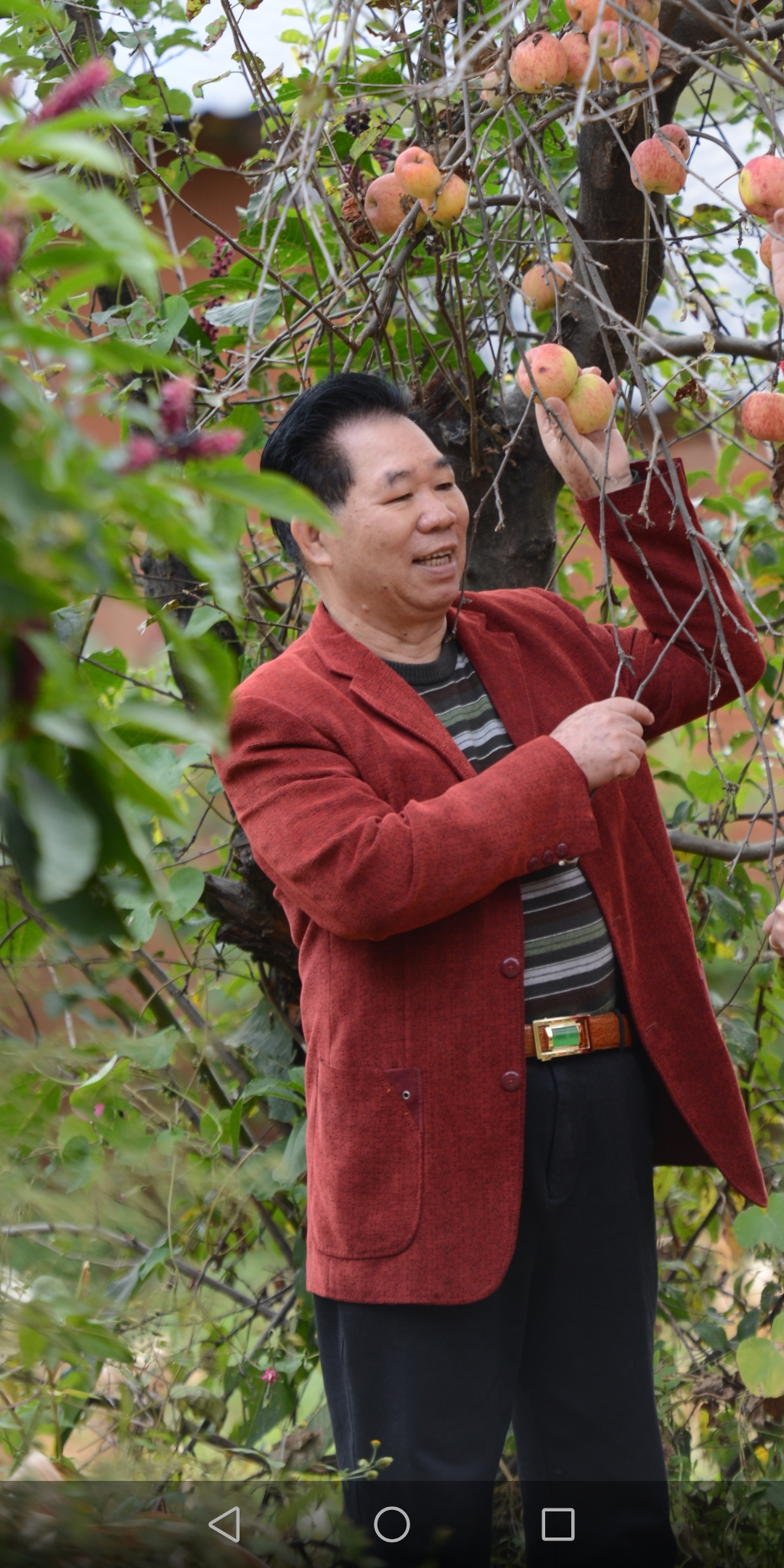 笑话百出的别字诗（一）奇趣诗连载97