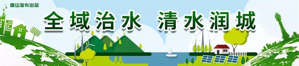 有颜值有气质才是乡村的新模样,既有颜值又有气质
