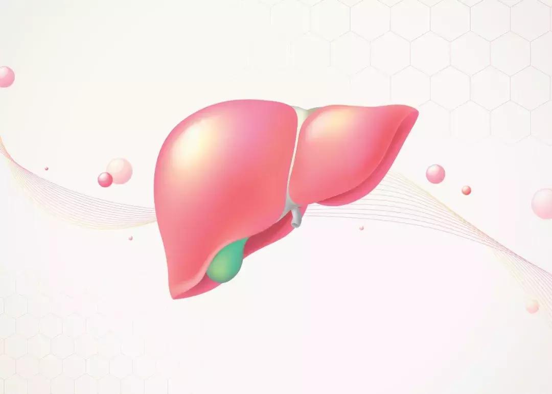 吉利德乙肝下一代治愈药,吉利德乙肝药