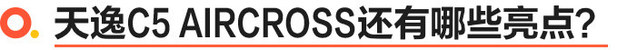 天逸c5的舒适感媲美哪些车,c5aircross天逸phev
