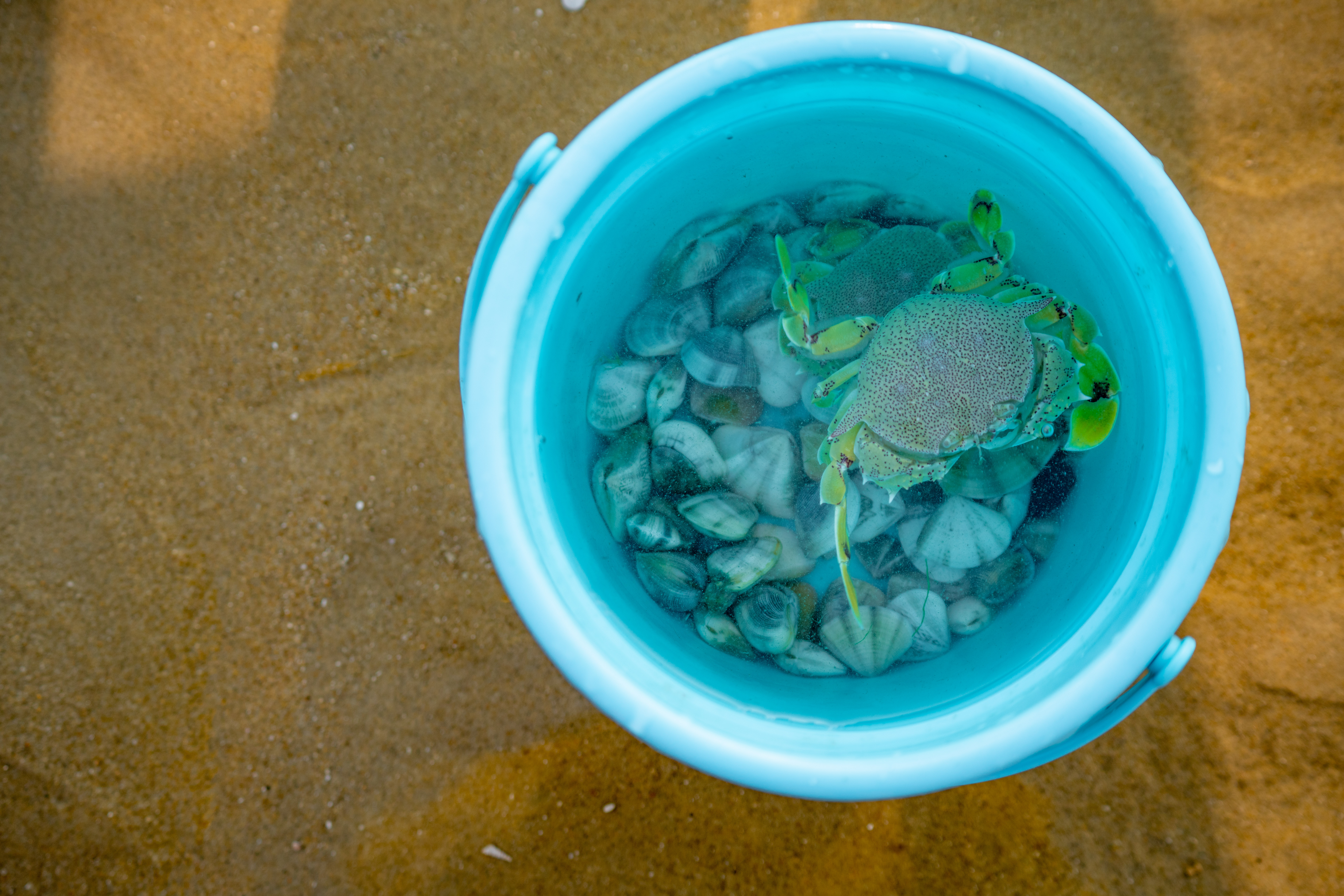 两天一夜人均200的国内游,2天1夜人均200元