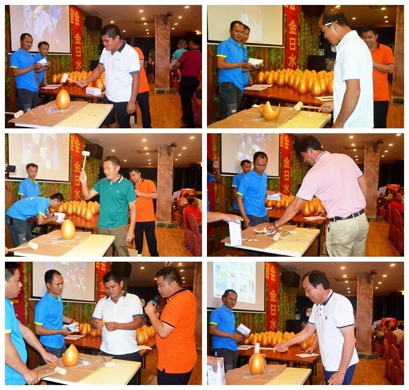 石斑鱼寄生虫类疾病防控技术,石斑鱼孢子虫最佳防治方法