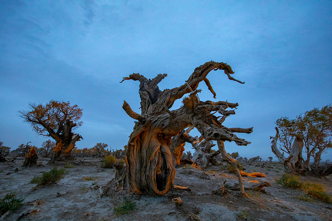 一路向西，去遇见我的时光之旅