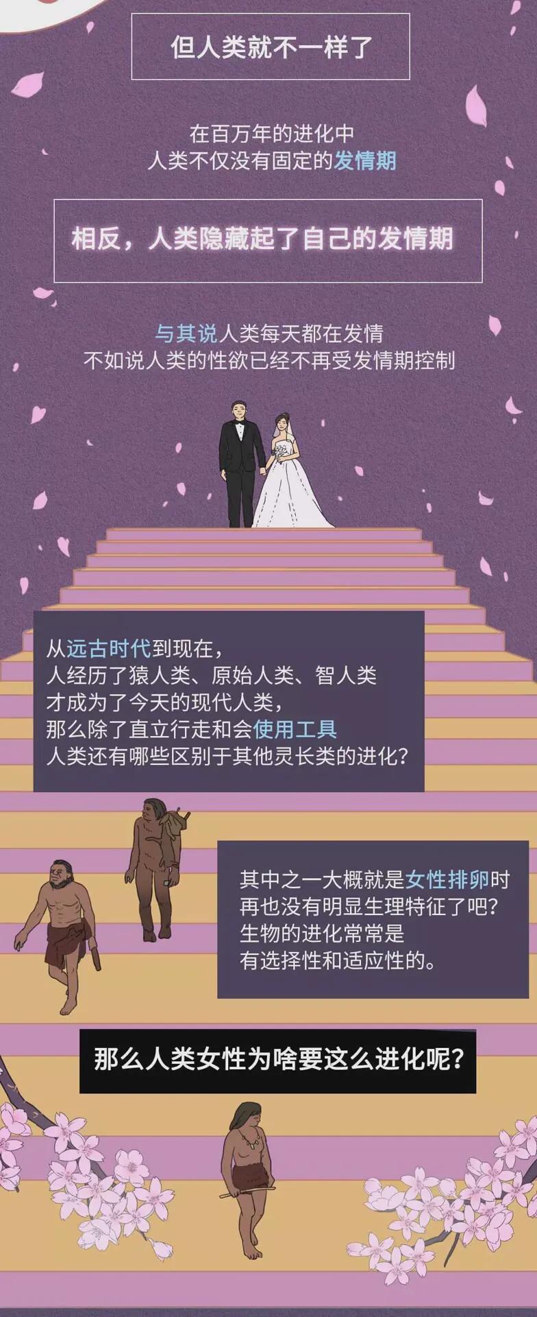 为什么人类365天总想着啪啪啪??致那些全年无休的有趣年轻人