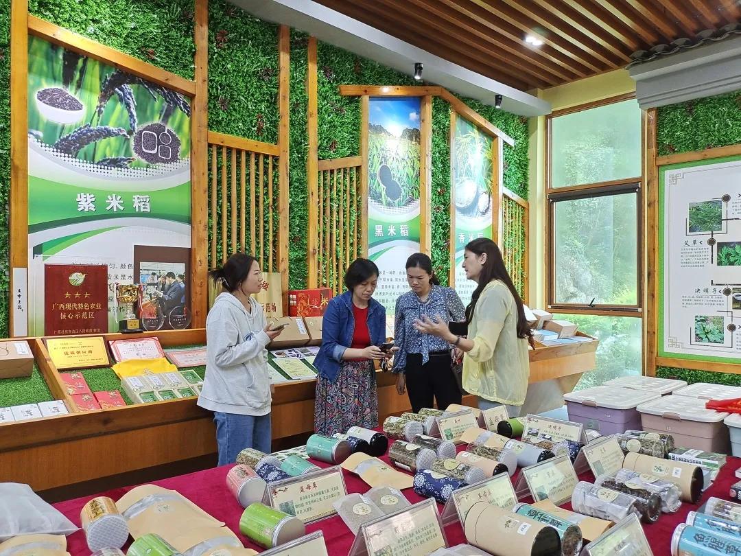 桂林市旅游协会,桂林代表团考察玉林