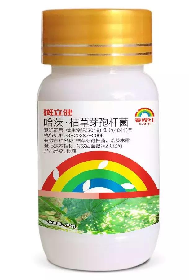 学会这一招,靶斑病不用愁,黄瓜“小黄点”轻松就搞定