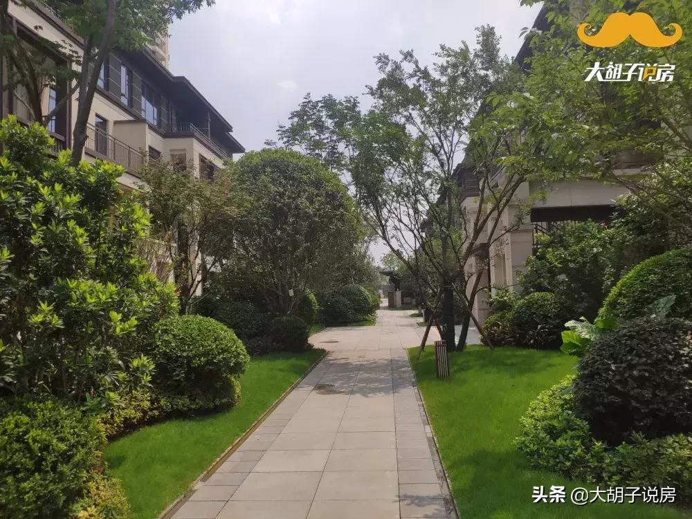 长沙不愧是一个网红城市,长沙为什么不让炒房