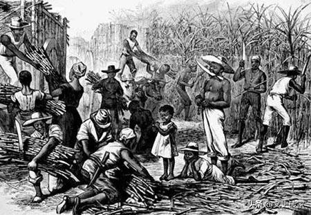 全球唯一的黑人发达国家，面积不到香港的40%，人均收入是中国2倍